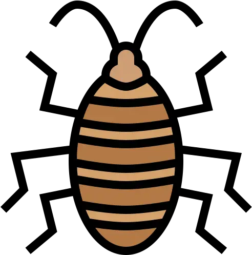  Cockroach Free Animals Icons Blattodea Png Cockroach Icon