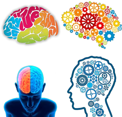  Brain Transparent Png Images Automaticity In Reading Brain Transparent Image