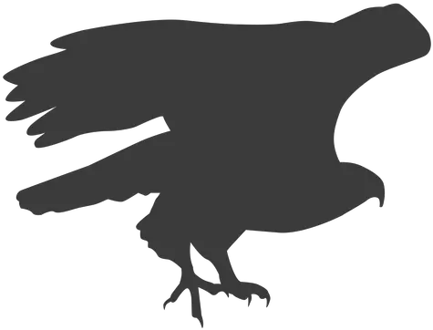  Eagle Wing Fly Flying Beak Talon Silhouette Bird Automotive Decal Png Flying Bird Png