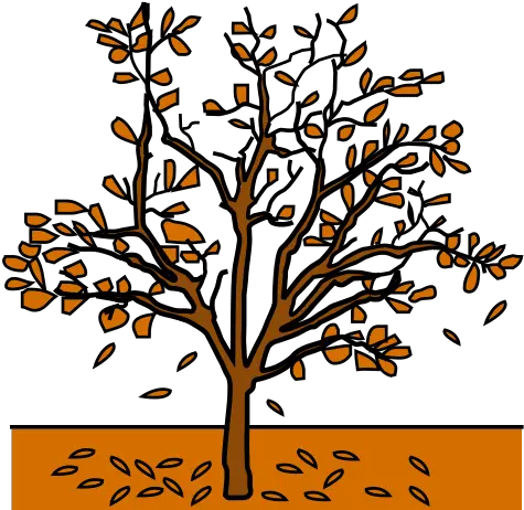  Global Symbols Fall Tree Autumn In Arasaac Dibujo De Otoño A Color Png Fall Tree Png