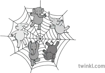  Elephants Balancing Elephant In A Spider Web Png Spider Web Transparent