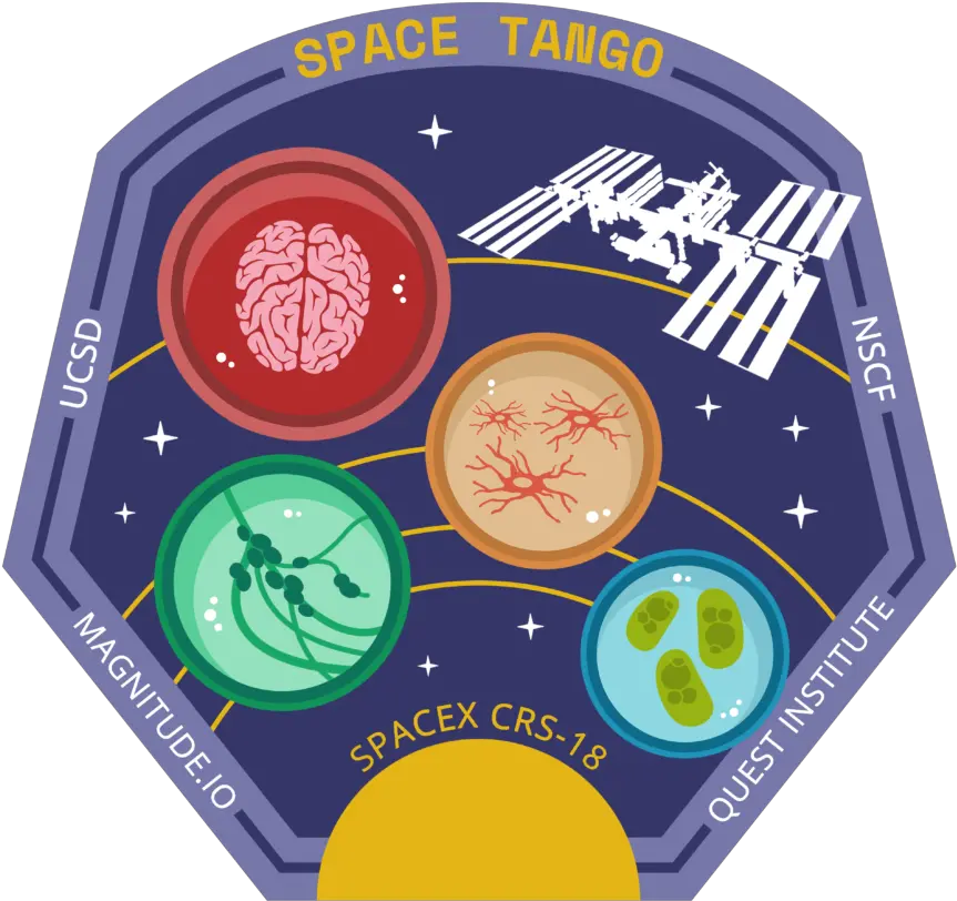  Space Tango Whatu0027s Flying A Look Circle Png Spacex Png