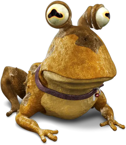  Toad Animal Hypnotoad Frog Icon Hypnotoad Png Frog Icon Png