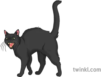  Hissing Black Cat General Animals Pets Halloween Secondary Halloween Black Cat Hissing Png Halloween Cat Png