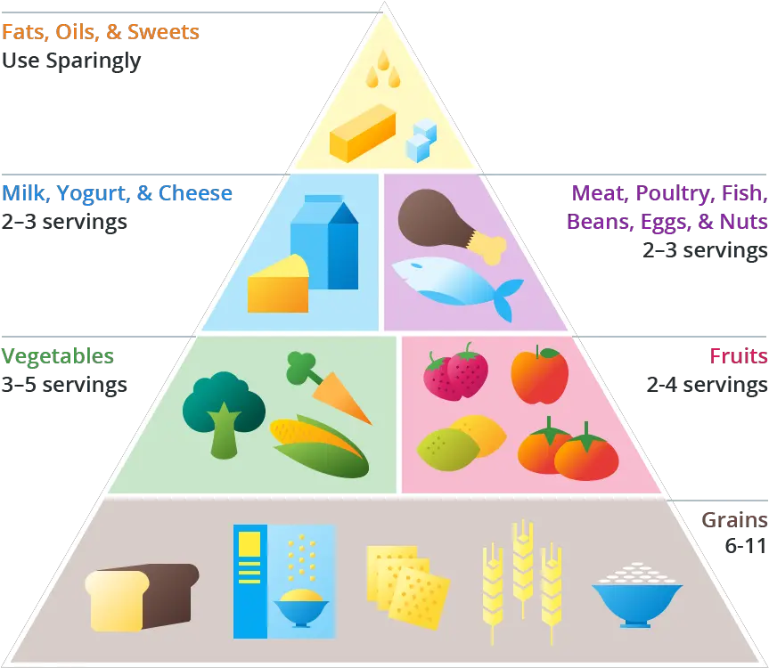  Food Pyramid Diagram Full Size Png Download Seekpng Diagram Of Food Pyramid Food Pyramid Png