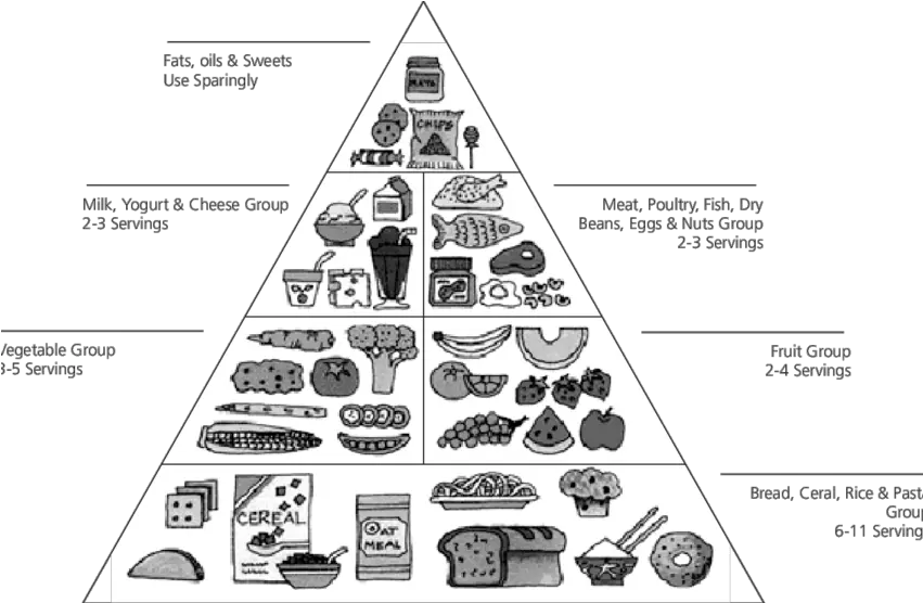  Food Guide Pyramid Food Groups Grade 3 Png Food Pyramid Png