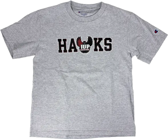  Youth T Shirt Hawks Logo By Champion The Coop Store Short Sleeve Png Champion Logo Font