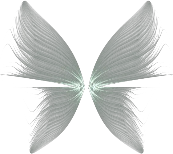  Butterfly Drawing Feather Transparent Background Angel Wings Png Butterfly Wings Png