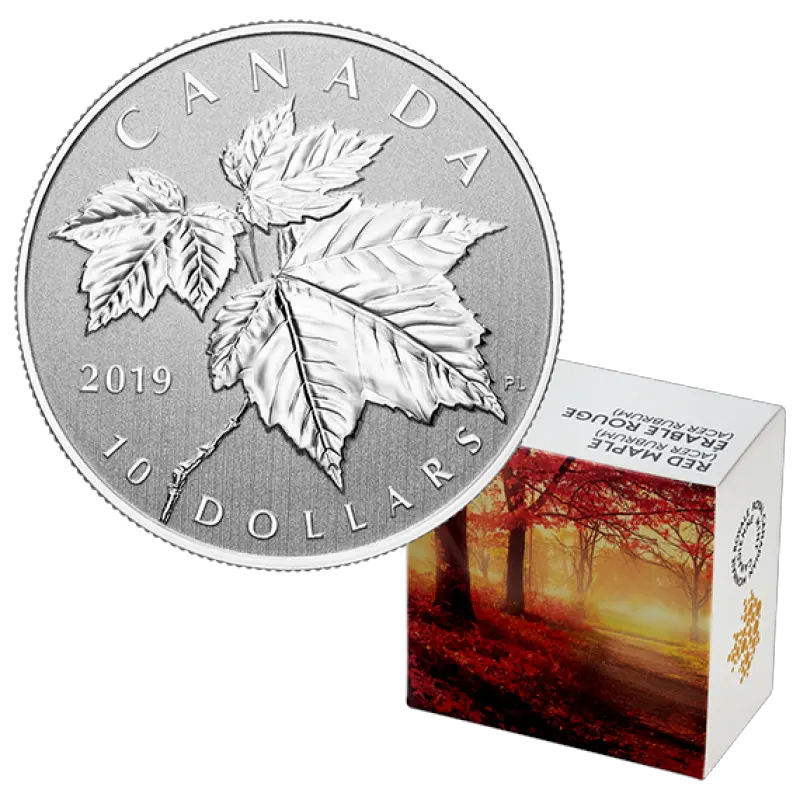  Canada Maple Leaf Maple Leaf 1 2oz Silver Png Canada Maple Leaf Png