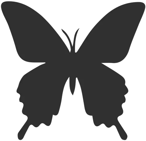  Brush Footed Butterflies Butterfly Silhouette Insect Moth Airbrush Butterfly Stencil Png Butterfly Silhouette Png