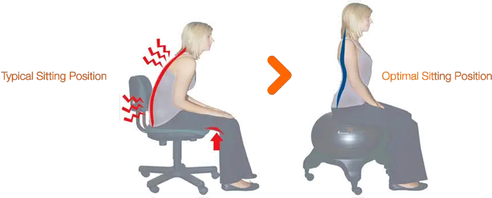  Evolution Chair Applications Dental Hygiene Ball Chair Png Person Sitting In Chair Back View Png