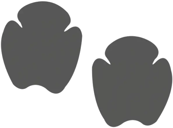  Rhino Silhouette Rhino Paw Print Png Foot Prints Png