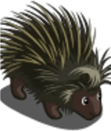  Porcupine Echidna Png Porcupine Png