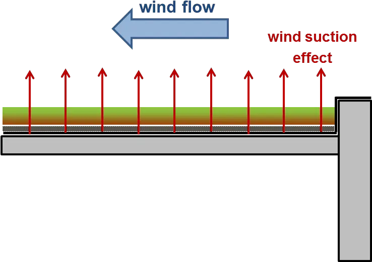  Wind Resistance Of Green Roofs Jim Corbett National Park Png Wind Effect Png