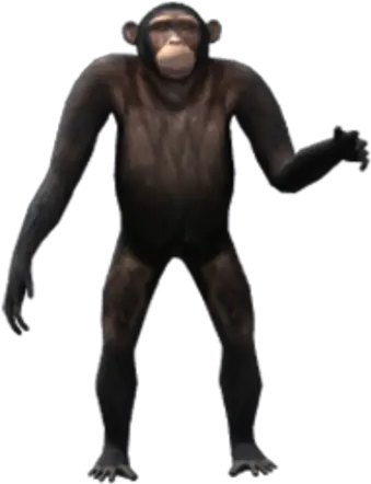  Ape Ugly Png Ape Png