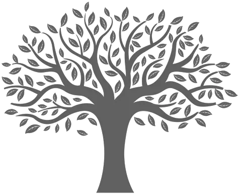  Flat Tree Silhouette Tree With Colorful Leaves Free Png Tree Of Life Png