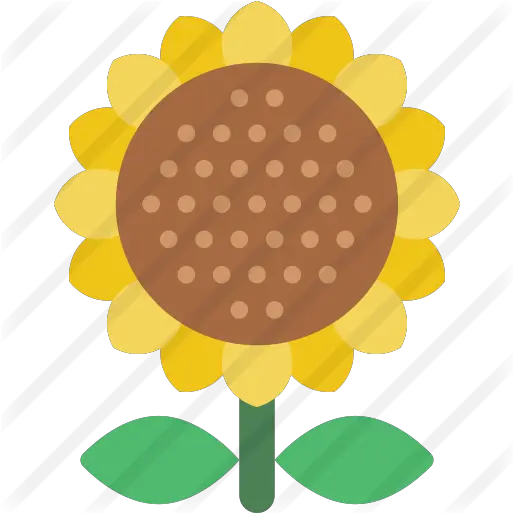  Sunflower Dot Png Sunflower Icon