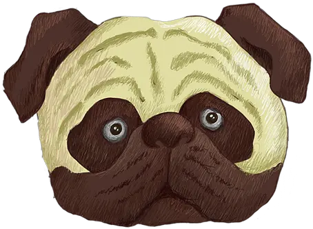  60 Free Pug U0026 Dog Illustrations Pixabay Pug Png Pug Transparent