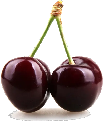  Black Cherry Png Clipart Black Cherry Png Cherry Png