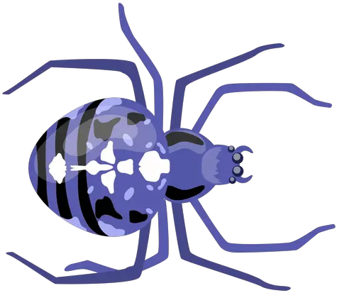  Transparent Png Svg Vector File Insect Spider Transparent