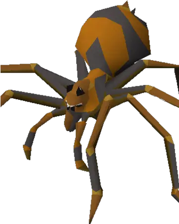  Fever Spider Araneus Png Spider Png