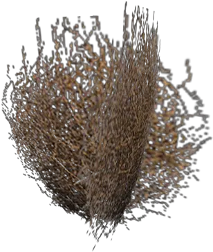  Tumbleweed Png Picture Hedgehog Cactus Tumbleweed Png