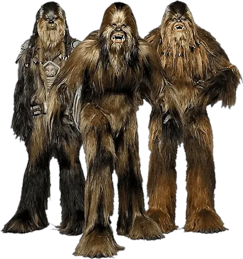  Chewbacca Star Wars Transparent Png Wookie Race Chewbacca Png