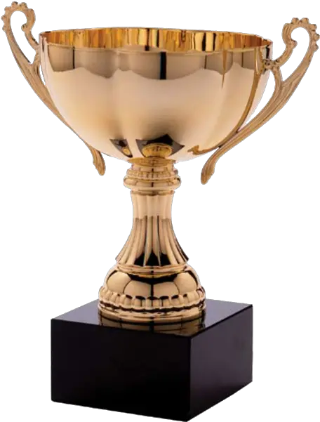  Trophy Award Png Trophy Png