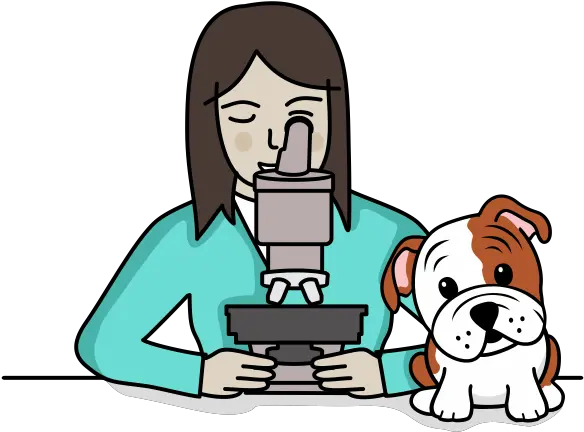  Laboratory Vet In Brooklyn Williamsburg Veterinary Clinic Veterinary Laboratory Illustration Png Labs Icon