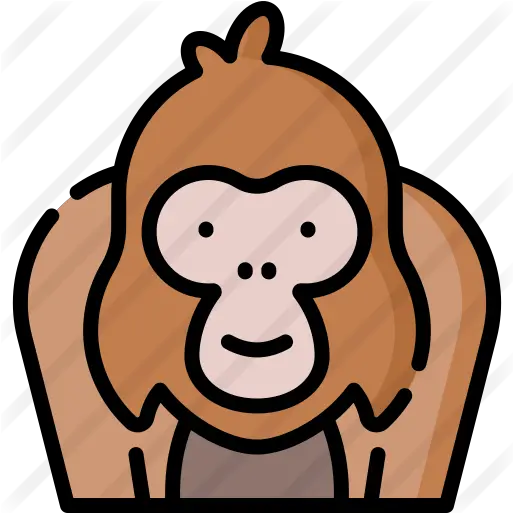  Orangutan Orang Utan Icon Png Orang Png