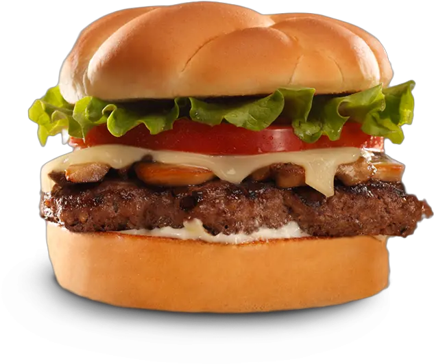  Download Burger Transparent Background Hamburger Png Burger Transparent Background