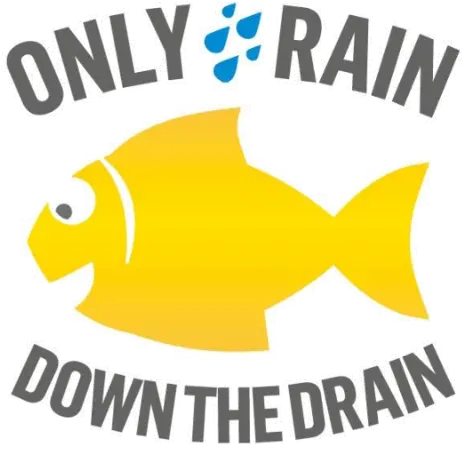  Water Environment Campaign Yellow Fish Peterborough City Pomacentridae Png Fish Logo Png