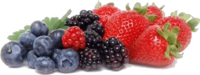  Berries Png Transparent Images Berries Png Berries Png