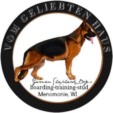  Körung Vomgeliebtenhaus Collar Png German Shepherd Transparent