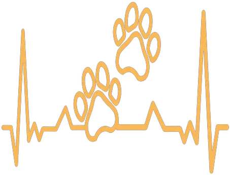  Heartbeat Paw Print Cardiogram Stroke Transparent Png Calligraphy Paw Print Png