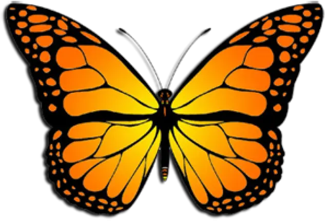  Monarch Butterfly Clipart August Monarch Butterfly Clipart Redbubble Stickers Blue Butterfly Png Butterfly Wing Png