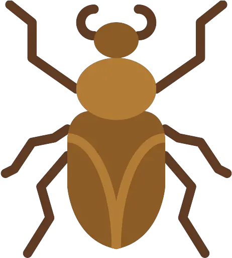  Roach Png Icons And Graphics Weevil Roach Png