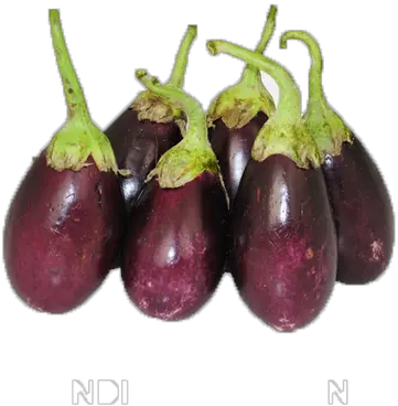  Download Eggplant Png Image With No Eggplant Eggplant Png