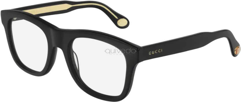  Gucci Seasonal Icon Gg0480o 001 Dolce And Gabbana Red Eye Glasses Png Spring Season Icon