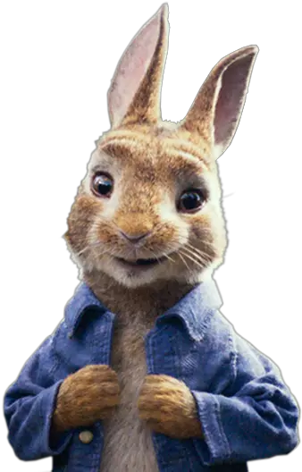  Peter Zajec Peter Rabbit Film Character Png Rabbit Transparent