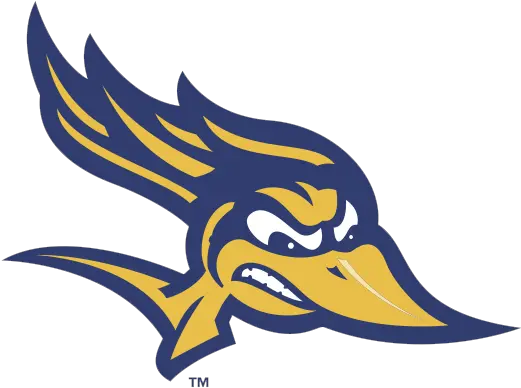  Diversity Equity And Inclusion The Big West Csu Bakersfield Roadrunners Png Nba Live 19 Icon