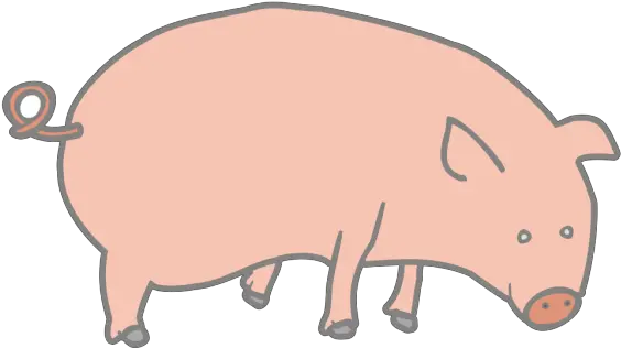  Pig 5 Png Svg Clip Art For Web Download Clip Art Png Cerdo Vietnamita Dibujo Pig Icon