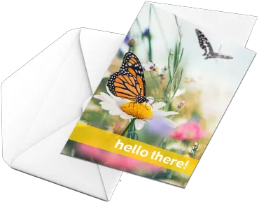  Send A Card To Resident Madonna Manor Chi Living Monarch Butterfly Png Icon Viceroy