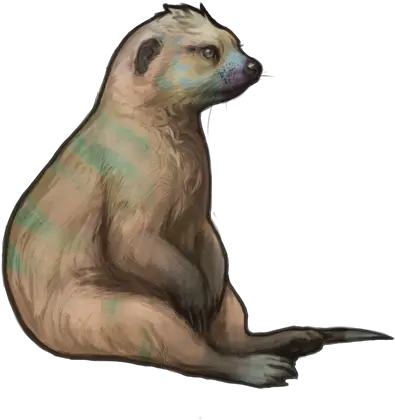  Index Of Eventnkmpaidraf Otter Png Mohawk Png