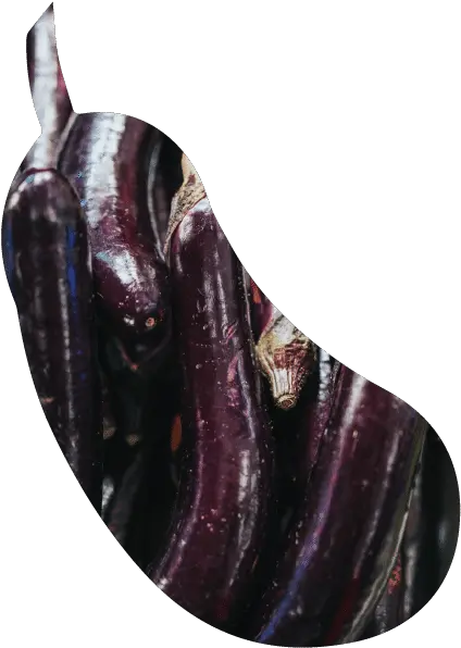  Home Eggplant Png Exo Icon