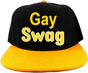  Gay Hat Png 8 Image Gay Pride Hat Transparent Swag Hat Png