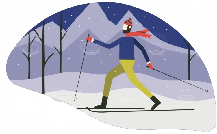  Cross Country Skiing Illustration Price Minty Cross Country Skiing Illustration Png Ski Png