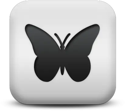  Icon Image Butterfly Free Png Transparent Background Decal Moth Icon