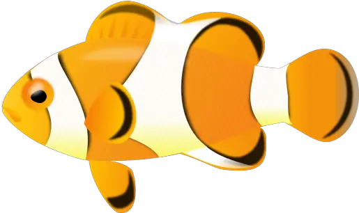  Clown Fish 001 1 Clown Fish No Background 514x305 Png Tropical Fish Png Cartoon Clown Transparent Background