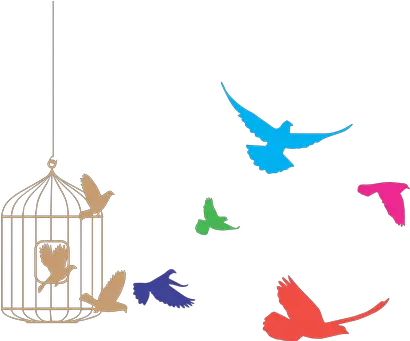  Birds Cage Freedom Product Eps Flock Of Birds Clipart Bird Flying From Cage Png Bird Flock Png